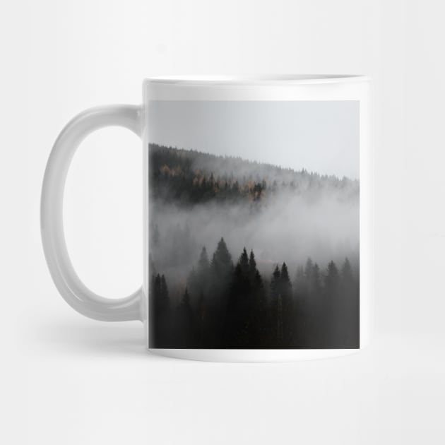 Misty European Forest After Rain by Danny Wanders